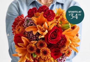 Header navigation sub menu